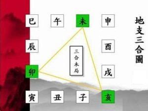 三合木局|八字亥卯未三合木局详解，亥卯未三合局成功条件及好处解。